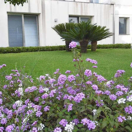 Fiore Dell'etna *