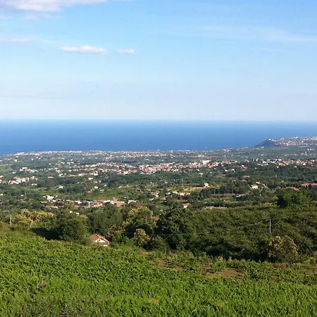 Fiore Dell'etna Santa Venerina