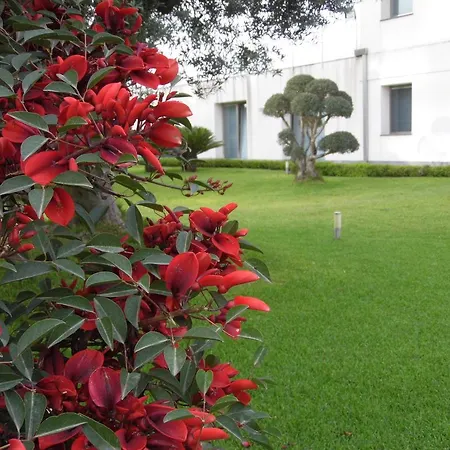 Apartament Fiore Dell'etna Santa Venerina